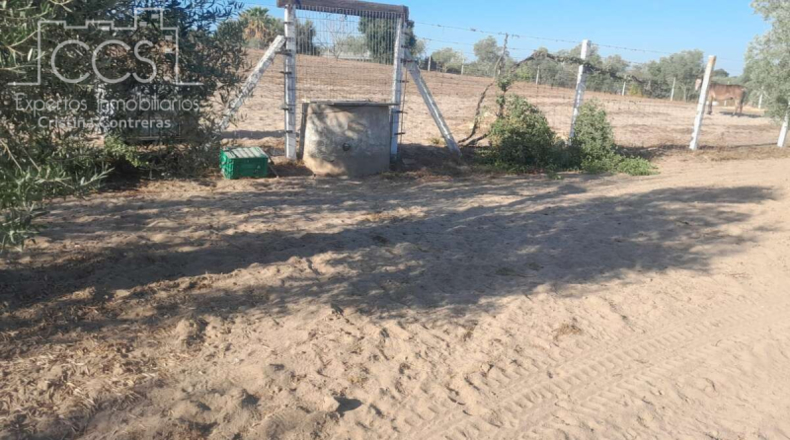 Huelva - Almonte - 15000m2