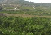 Land with storage building for sale on España, Sellent, ref: TR342005 photo