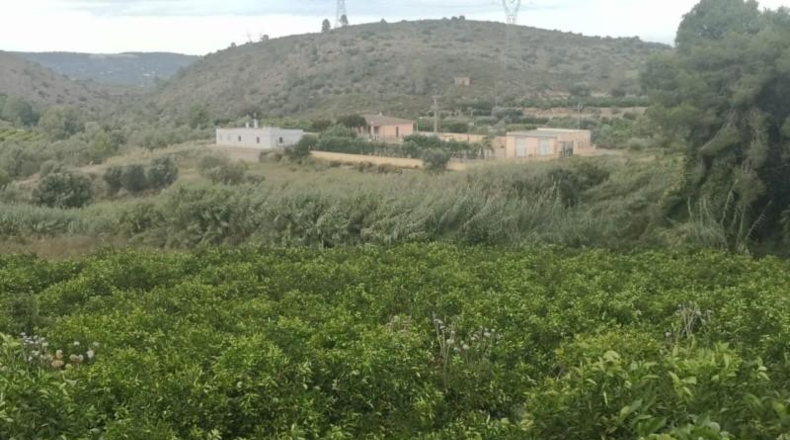 València - Sellent - 6600m2
