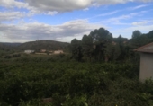 Terreno con Almacén en venta en la España, Sellent, ref: TR310502 foto