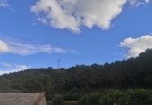 Terreno con Almacén en venta en la España, Sellent, ref: TR310502 foto