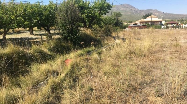 Murcia - Moratalla - 4471m2