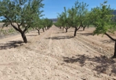 Terreno no urbanizable en venta en la España, Monóvar, ref: TR129222 foto