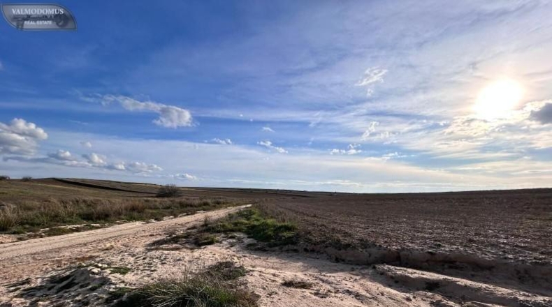 Toledo - Casarrubios del Monte - 29899m2