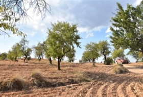 Foto 11