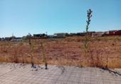 Suelo urbano en venta en la España, Pozuelo de Calatrava, ref: TR316662 foto