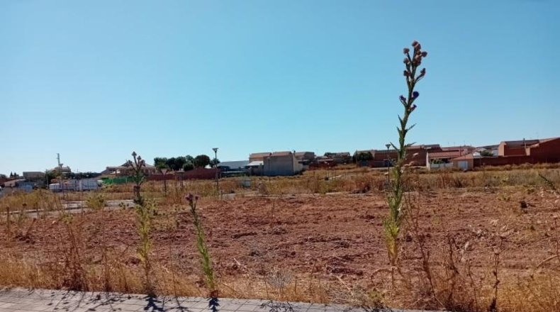 Ciudad Real - Pozuelo de Calatrava - 500m2