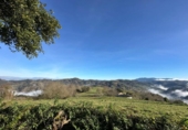 Terreno no urbanizable en venta en la España, La Obra, ref: TR221205 foto