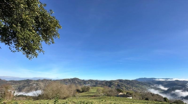 Asturias - Carranques - 796m2