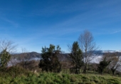 Terreno no urbanizable en venta en la España, La Obra, ref: TR221205 foto