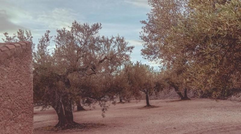 Tarragona - Santa Bàrbara - 21257m2