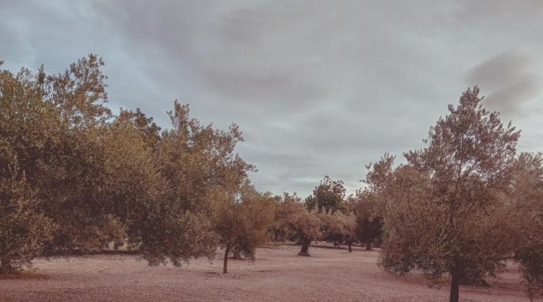 Tarragona - Santa Bàrbara - 21257m2