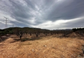 Land suitable for development for sale on España, Catadau, ref: TR127779 photo