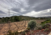 Land suitable for development for sale on España, Catadau, ref: TR127779 photo