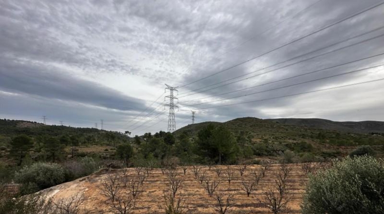 Valencia - Catadau - 11096m2