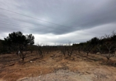 Land suitable for development for sale on España, Catadau, ref: TR127779 photo