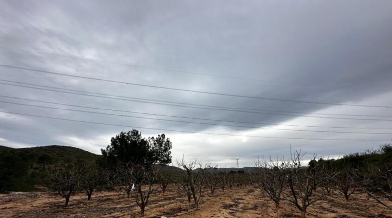 Valencia - Catadau - 11096m2
