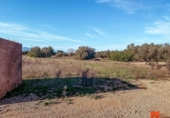 Casa de campo con terreno en venta en la España, Freginals, ref: TR299249 foto