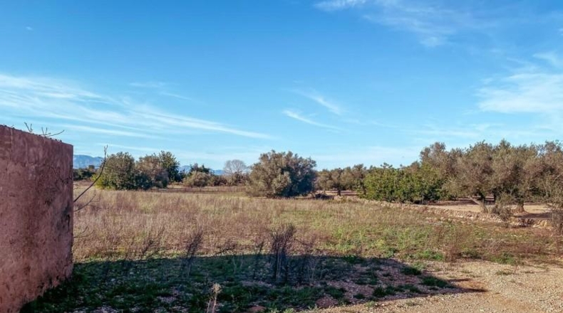Tarragona - Freginals - 14000m2