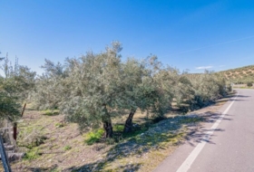 Deifontes 3215&nbsp;m² 
