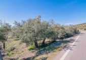 Terreno no urbanizable en venta en la España, Deifontes, ref: TR392335 foto