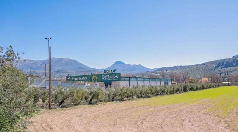 Granada - Deifontes - 3215m2