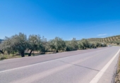 Terreno no urbanizable en venta en la España, Deifontes, ref: TR392335 foto