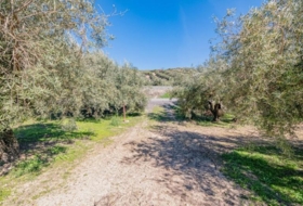 Deifontes 3215&nbsp;m² 