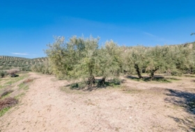 Deifontes 3215&nbsp;m² 