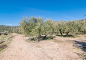 Terreno no urbanizable en venta en la España, Deifontes, ref: TR392335 foto