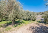 Terreno no urbanizable en venta en la España, Deifontes, ref: TR392335 foto