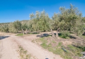 Terreno no urbanizable en venta en la España, Deifontes, ref: TR392335 foto