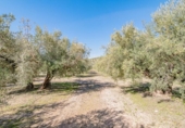 Terreno no urbanizable en venta en la España, Deifontes, ref: TR392335 foto