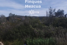 la Bisbal del Penedès 1320&nbsp;m² 
