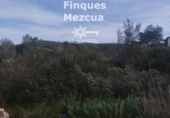 Parcela urbanizable en venta en la España, la Bisbal del Penedès, ref: TR379536 foto
