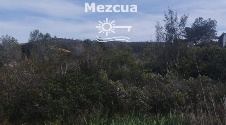 Tarragona - la Bisbal del Penedès - 1320m2