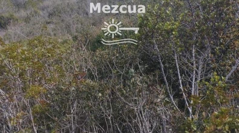 Tarragona - la Bisbal del Penedès - 1320m2