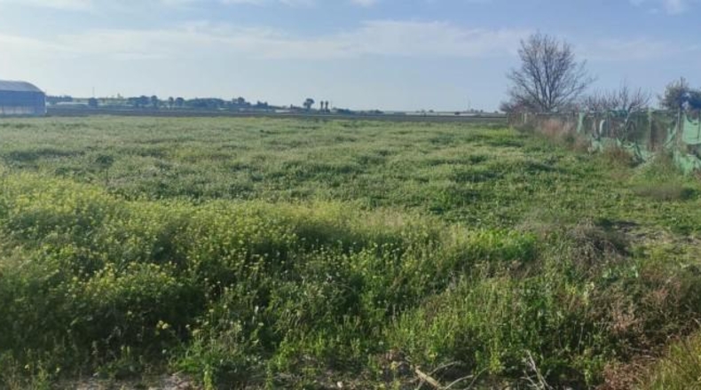 Cádiz - Sanlúcar de Barrameda - 2500m2