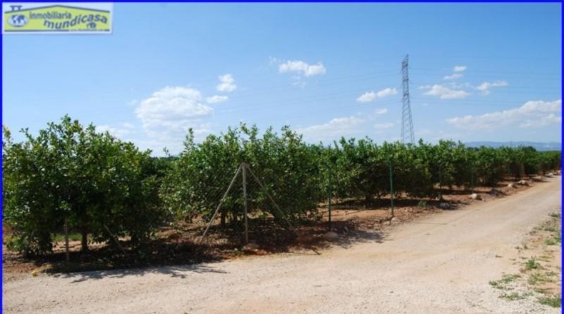Murcia - Fortuna - 2146m2