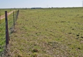 Non-developable land for sale on España, Sierra de Fuentes, ref: TR115697 photo