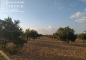 Terreno no urbanizable en venta en la España, Tomelloso, ref: TR115864 foto