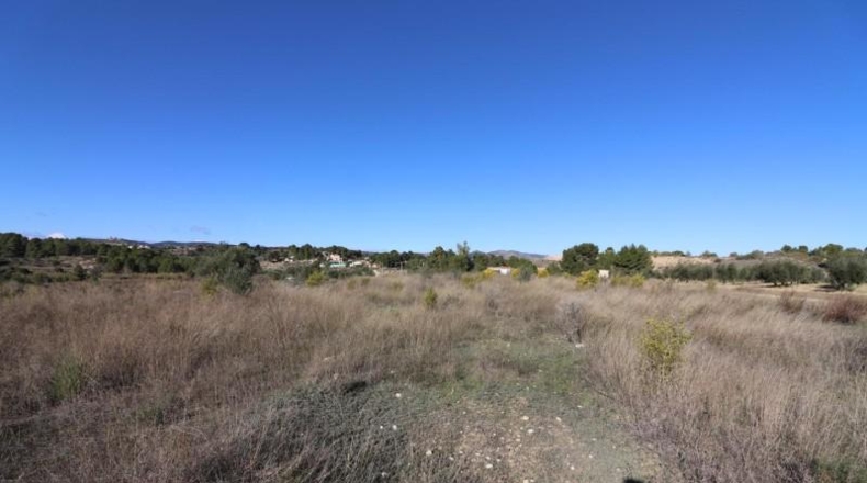 València - Alborache - 13732m2
