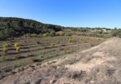 Terreno no urbanizable en venta en la España, Alborache, ref: TR113348 foto