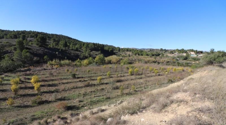 València - Alborache - 13732m2