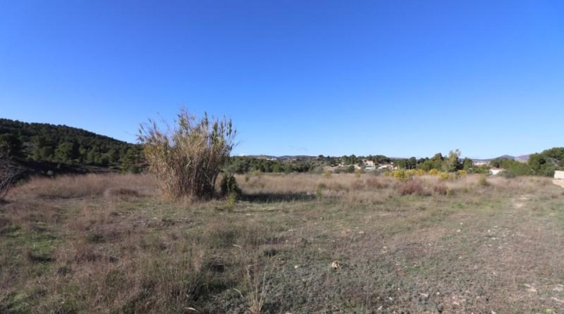 València - Alborache - 13732m2