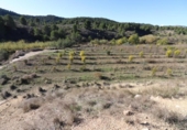 Terreno no urbanizable en venta en la España, Alborache, ref: TR113348 foto