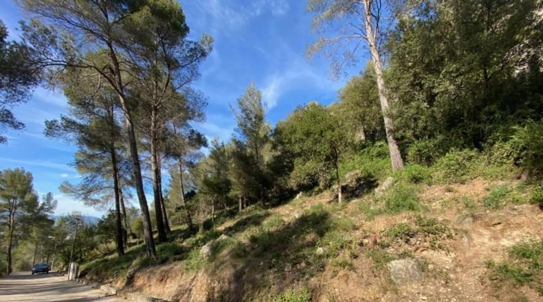 Barcelona - Corbera de Llobregat - 1133m2