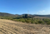Terreno no urbanizable en venta en la España, Dílar, ref: TR124708 foto
