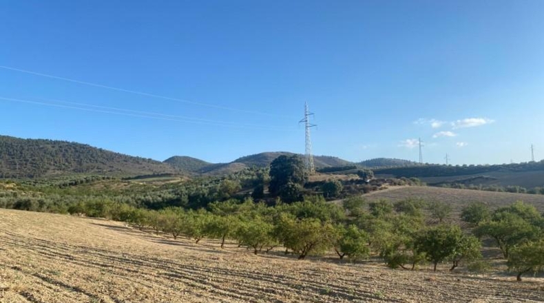Granada - Dílar - 17974m2