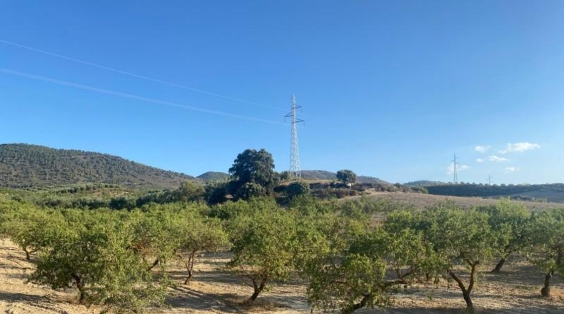 Granada - Dílar - 17974m2